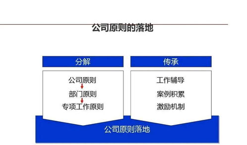龍湖企業(yè)管理與運營精細化管理 提升企業(yè)競爭力的關鍵路徑