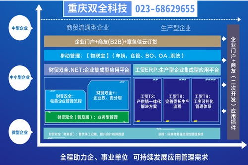 彭水生產(chǎn)型企業(yè)管理制度優(yōu)化與重慶管家婆軟件二次開發(fā)實踐